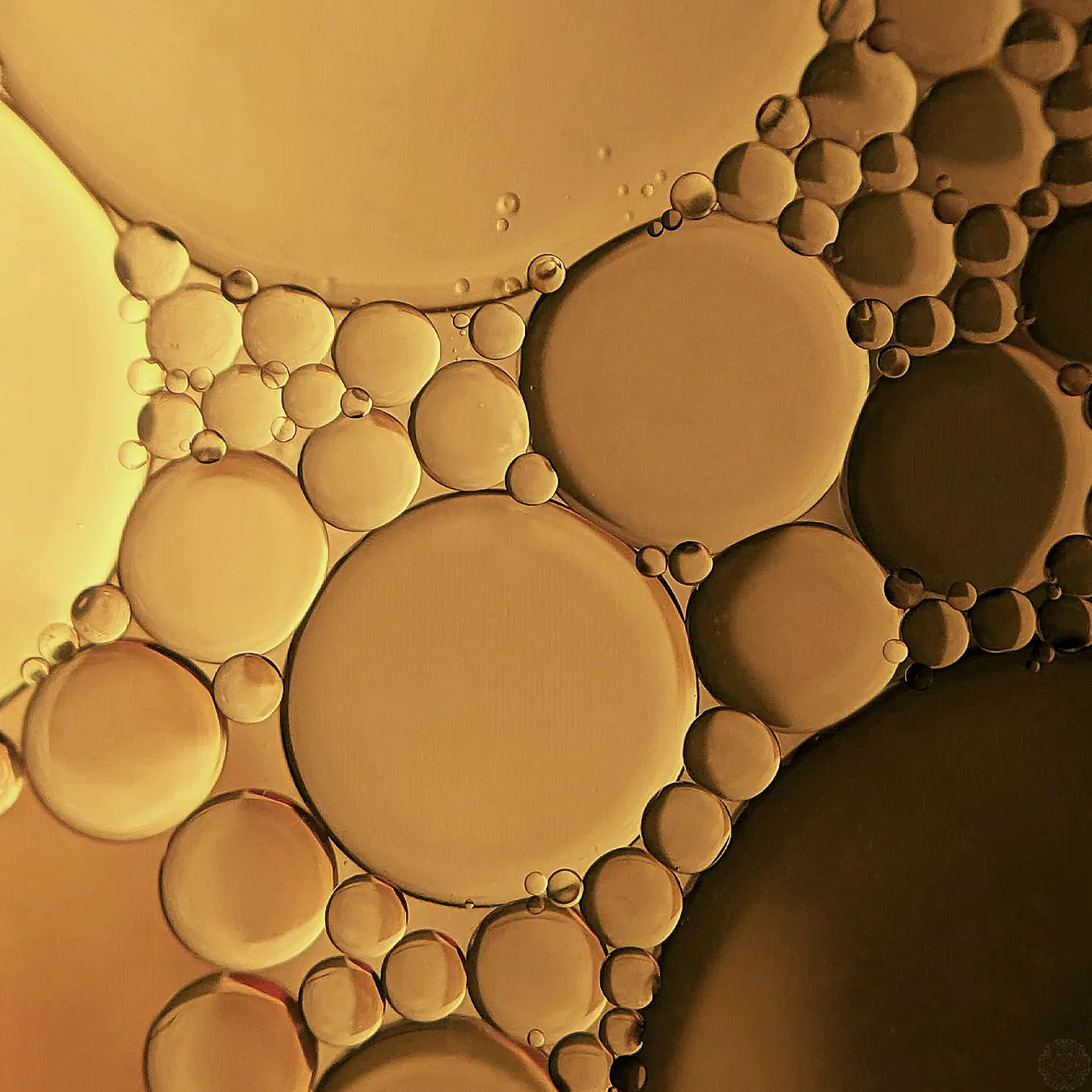 What Even Are Daltons? - Fountain of Youth Lifestyle - Australia