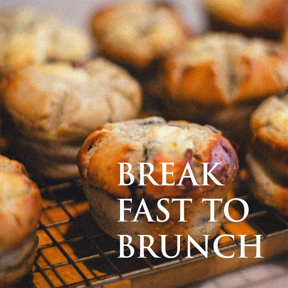 The Fountain of Youth Lifestyle Collagen Cookbook - Digital Download Version