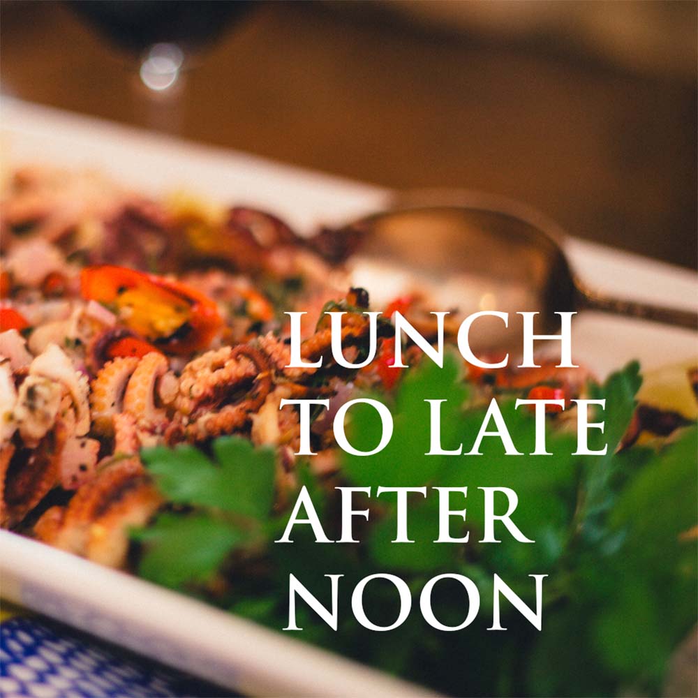 The Fountain of Youth Lifestyle Collagen Cookbook - Digital Download Version