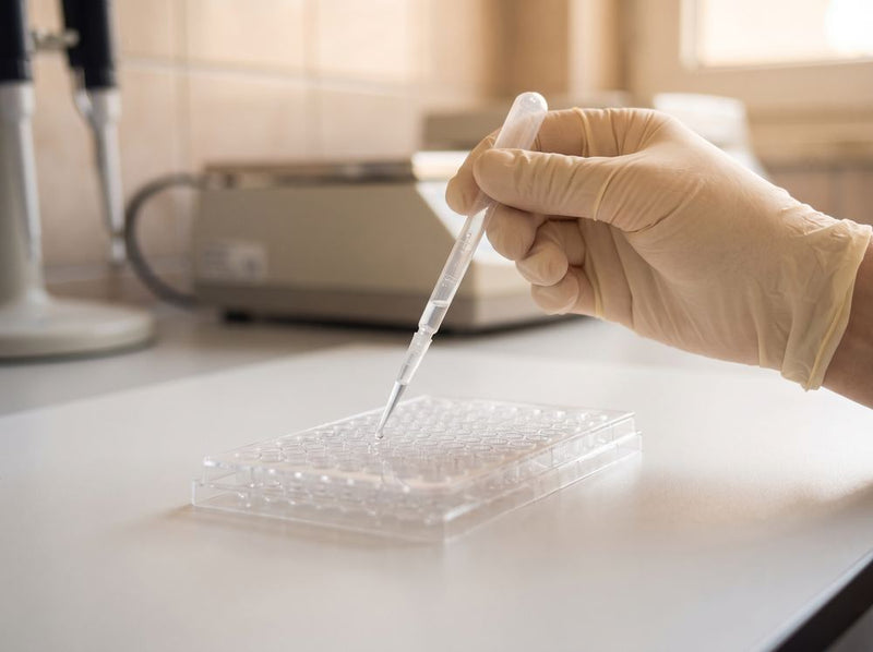 A gloved hand pipetting a sample into a laboratory test plate
